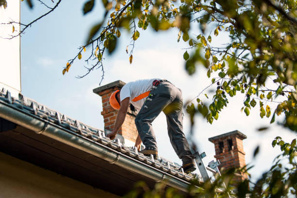Best Roof Repair Services  in Alma, NE