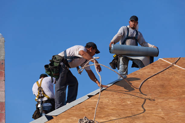 Best Local Roofing Companies  in Alma, NE