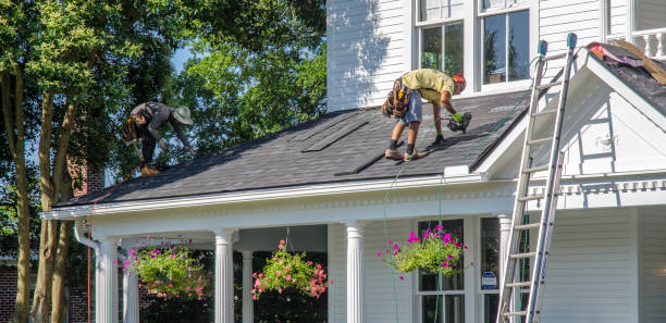 Best Storm Damage Roof Repair  in Alma, NE