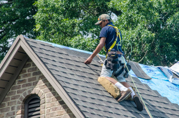 Best Roof Gutter Cleaning  in Alma, NE